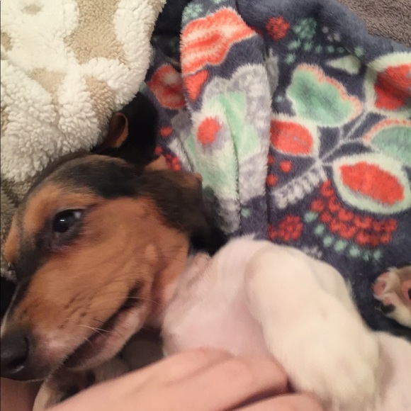 Meet your Posher, Katelyn - Picture 4 of 4